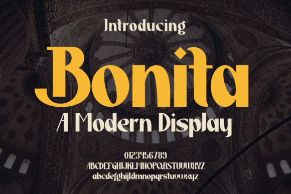 Bonita Font: A Modern Typeface for Bold Branding