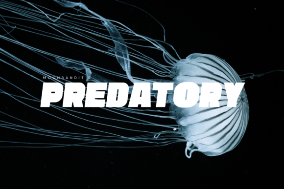 Predatory: The Bold Display Font for Dynamic Designs